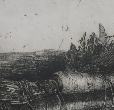 Safet ZEC : Nature morte aux carottes, Gravure originale signée