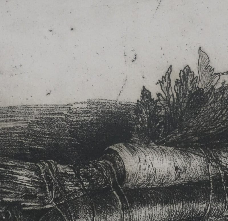 Safet ZEC : Nature morte aux carottes, Gravure originale signée