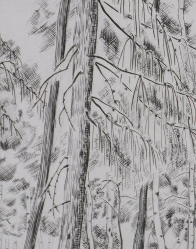 Camille COMBE : A l'orée de la forêt (1er état), Gravure originale signée