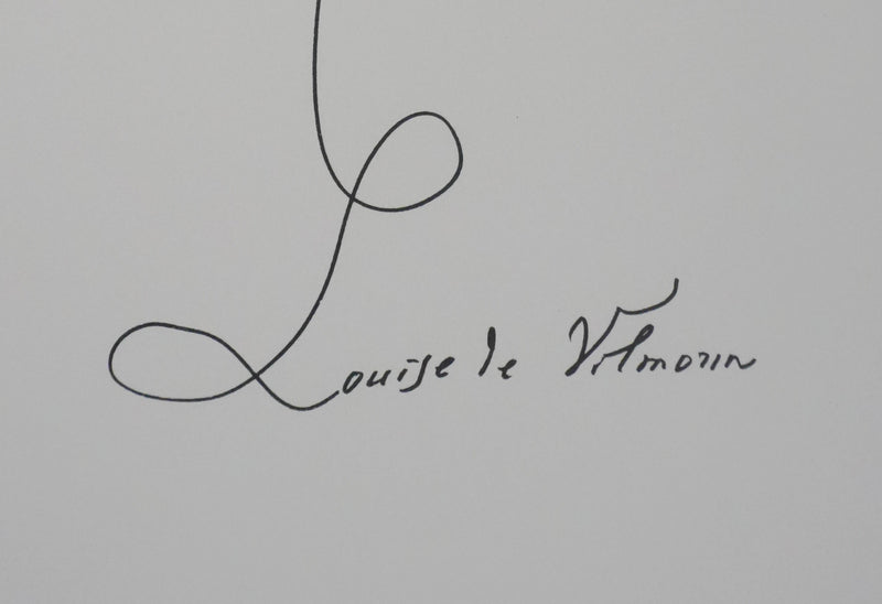 Louise DE VILEMORIN : Le trèfle à quatre feuilles, Lithographie originale signée