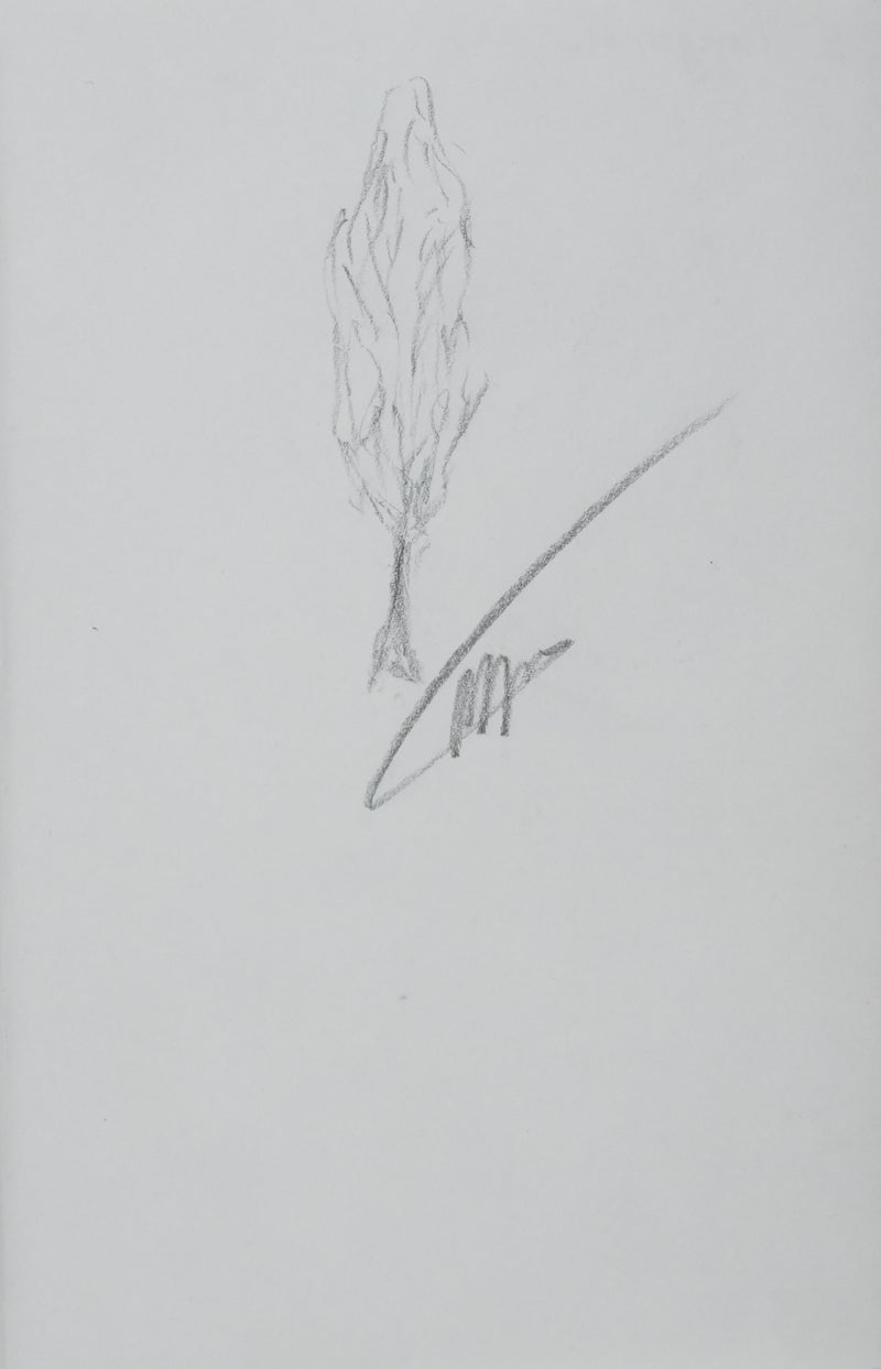 Autographe original de Roland NUNGESSER (photo de détail 2) - Crédit photo : Galerie Art.Paris