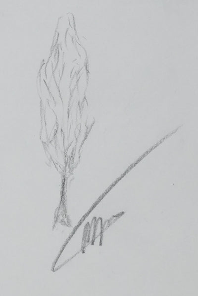 Autographe original de Roland NUNGESSER (vue générale) - Crédit photo : Galerie Art.Paris