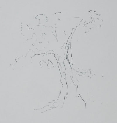 Georges PIROUE : L'arbre en croquis, Autographe et dessin original signé