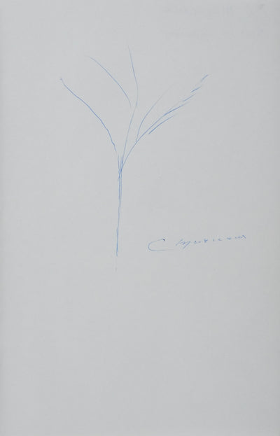 Autographe original de Christian MURCIAUX (vue générale) - Crédit photo : Galerie Art.Paris