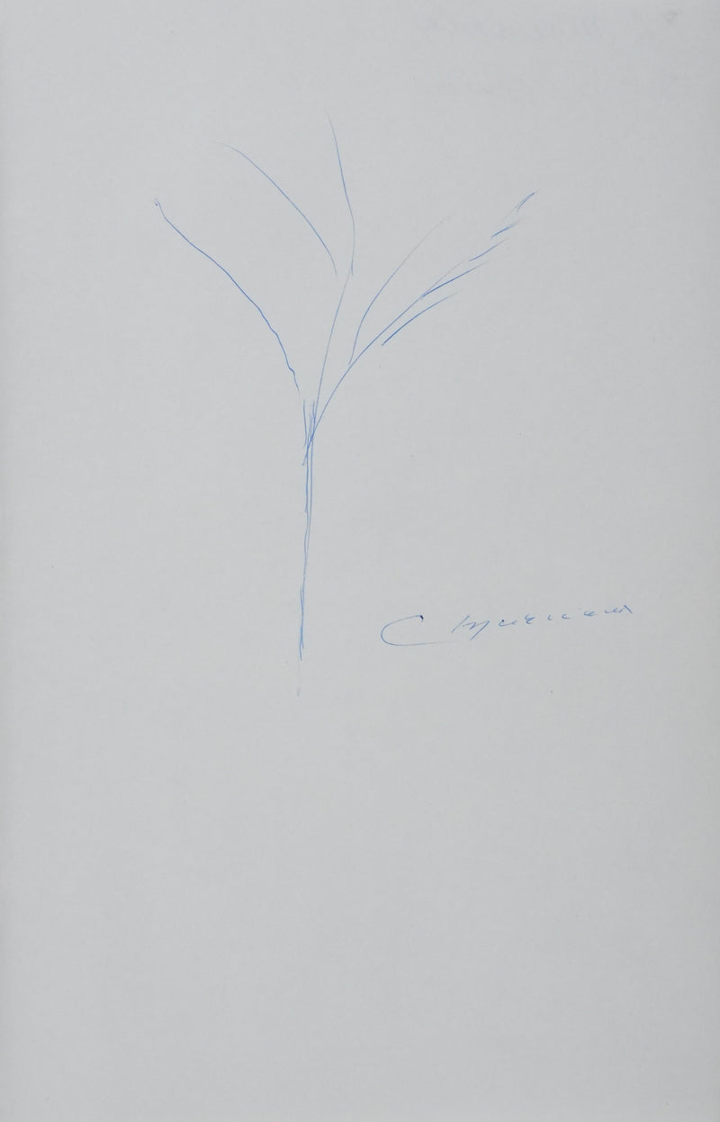 Autographe original de Christian MURCIAUX (vue générale) - Crédit photo : Galerie Art.Paris