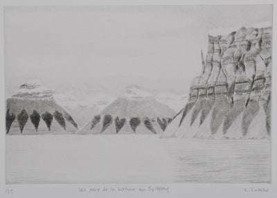 Camille COMBE : Les jeux de la nature au Spitzberg, Gravure originale signée