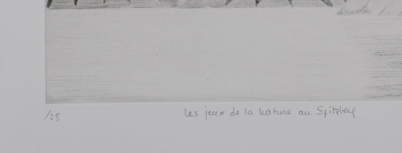 Camille COMBE : Les jeux de la nature au Spitzberg, Gravure originale signée