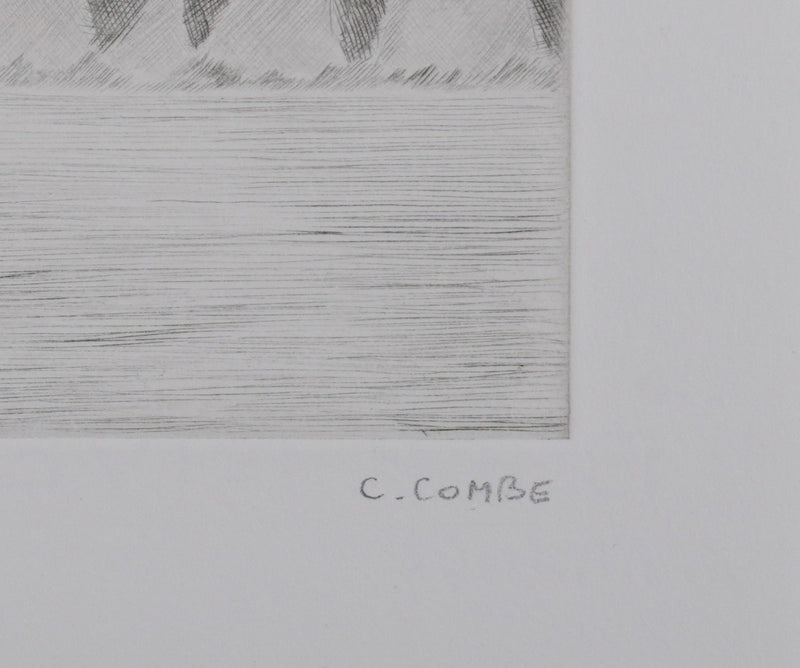 Camille COMBE : Les jeux de la nature au Spitzberg, Gravure originale signée