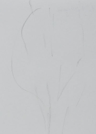 Madame DEL PERUGIA : L'arbre planté, Autographe et dessin original signé