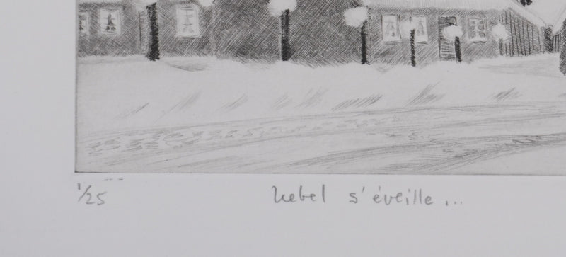 Camille COMBE : Wedel s&
