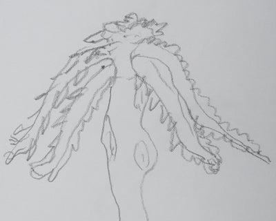 Hubert DEVILLEZ : L'arbre silhouette, Autographe et dessin original signé