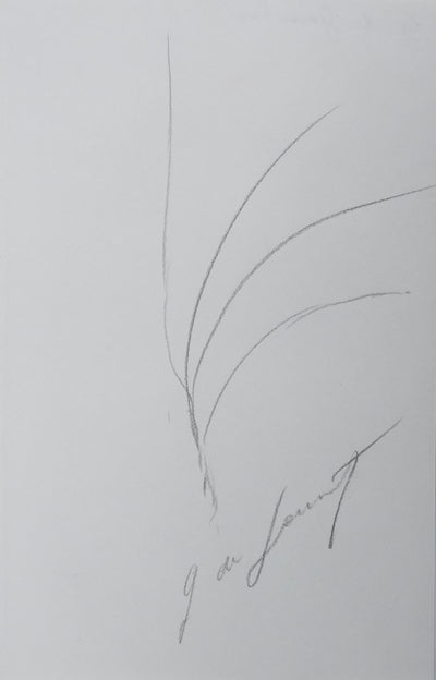 Autographe original de Giselle DE GOUSTINE (vue générale) - Crédit photo : Galerie Art.Paris