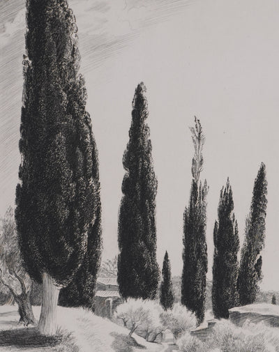 René COTTET : Cyprès de la Villa Adriana, Gravure originale signée