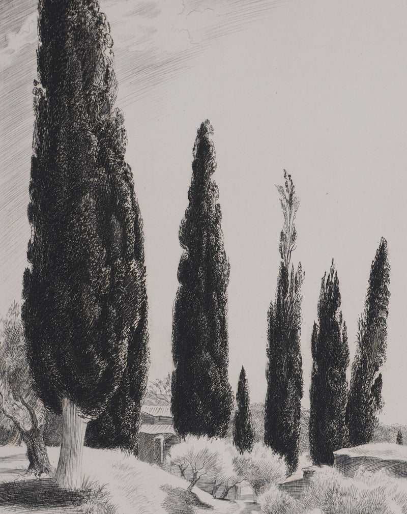 René COTTET : Cyprès de la Villa Adriana, Gravure originale signée