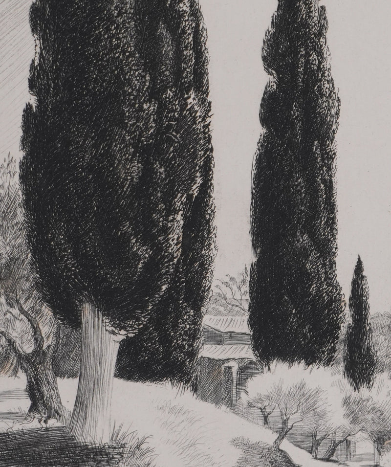 René COTTET : Cyprès de la Villa Adriana, Gravure originale signée
