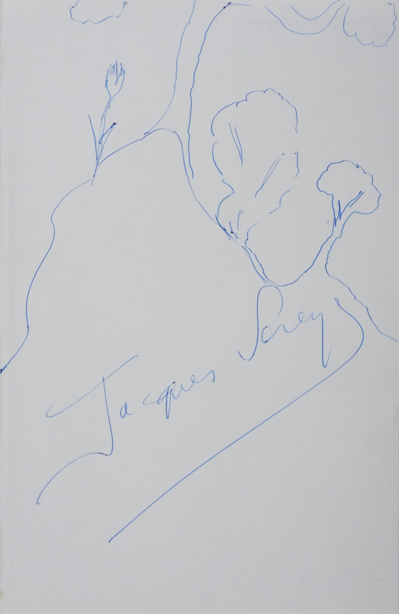 Jacques SEREYS : L&