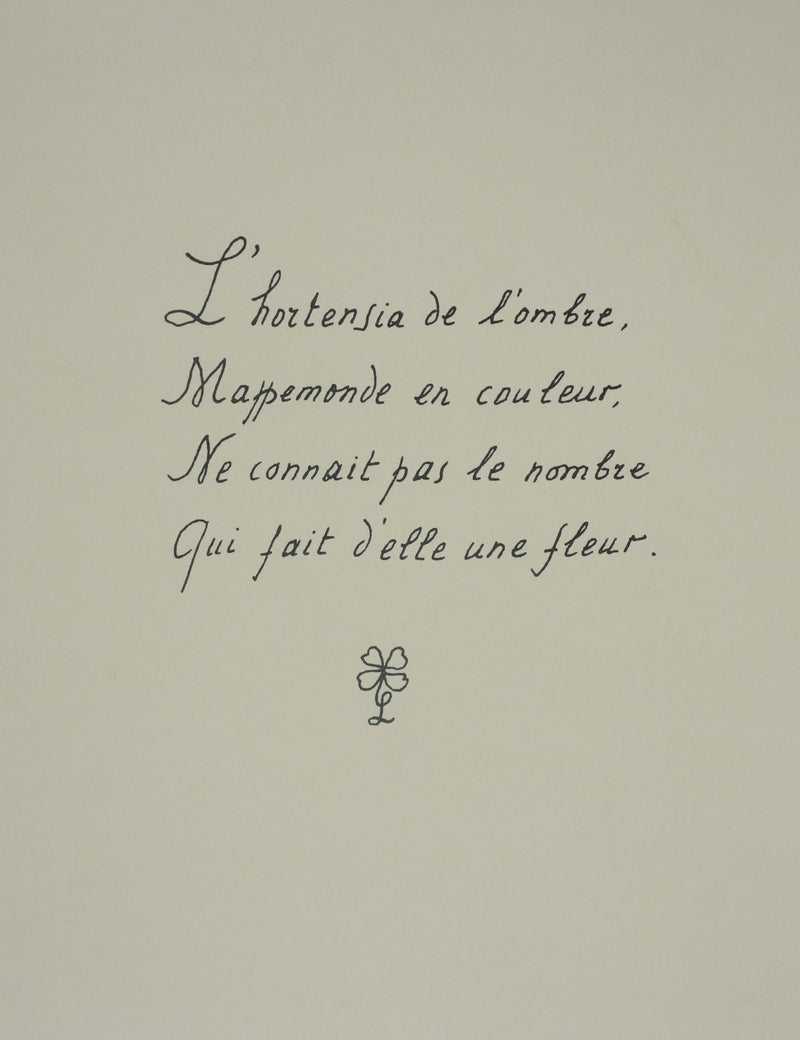 Louise DE VILEMORIN : L&