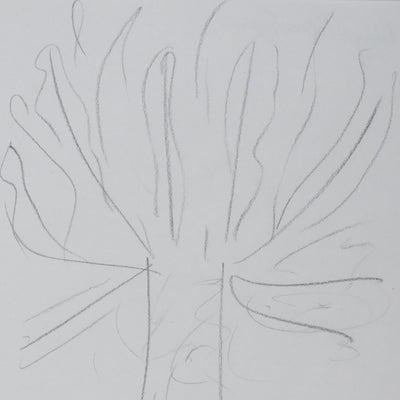 Maja DESTREM : L'arbre du jour, Autographe et dessin original signé