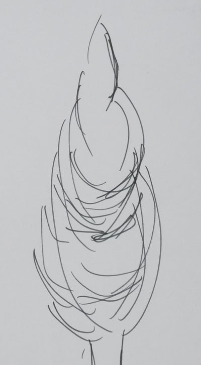 Jacques MEDECIN : L'arbre du sud, Autographe et dessin original signé