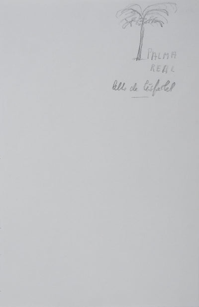 Alba DE CESPEDES : L'arbre de Palma Real, Autographe et dessin original signé