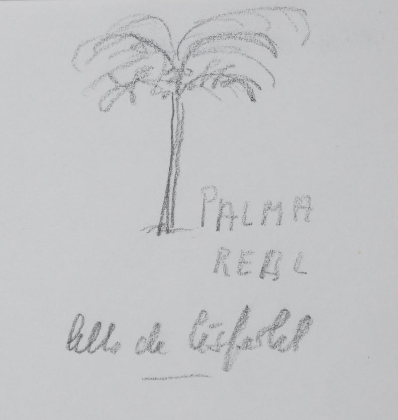 Alba DE CESPEDES : L&