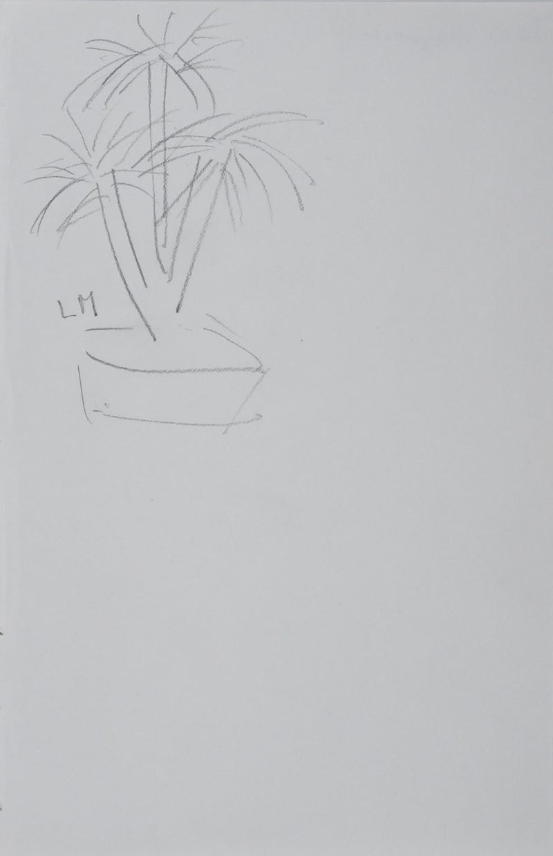 Lucie MAZAURIC : L&