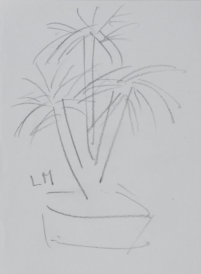Lucie MAZAURIC : L&