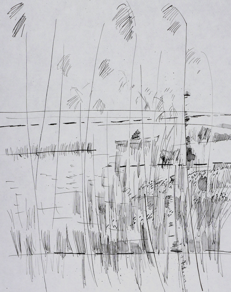 Maurice GENIS : Les roseaux, Dessin original signé