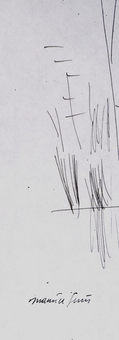 Maurice GENIS : Les roseaux, Dessin original signé
