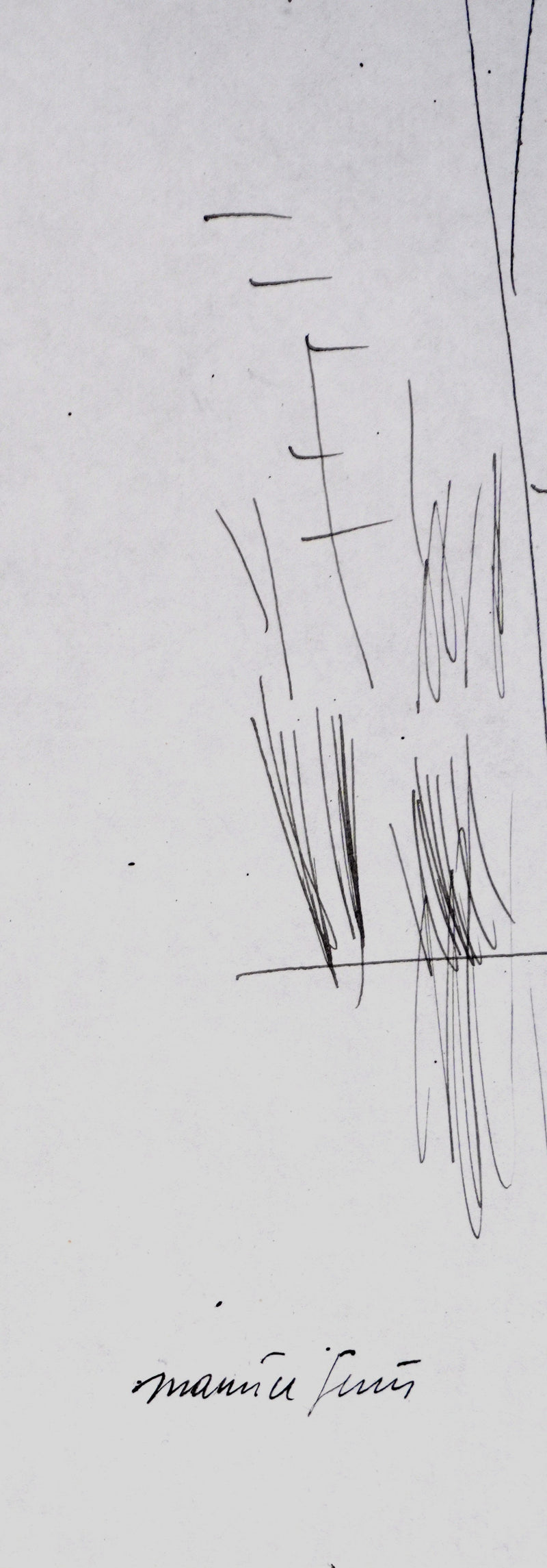 Maurice GENIS : Les roseaux, Dessin original signé