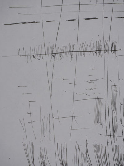 Maurice GENIS : Les roseaux, Dessin original signé