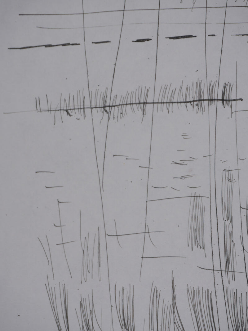 Maurice GENIS : Les roseaux, Dessin original signé