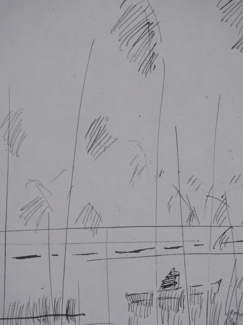 Maurice GENIS : Les roseaux, Dessin original signé