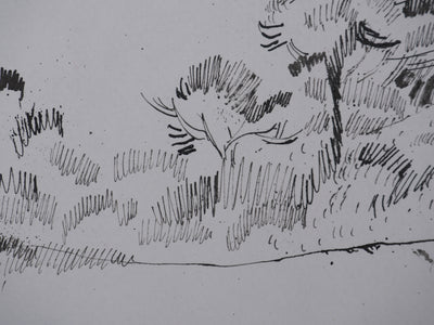 Maurice GENIS : Les arbres au bord de mer, Dessin original signé