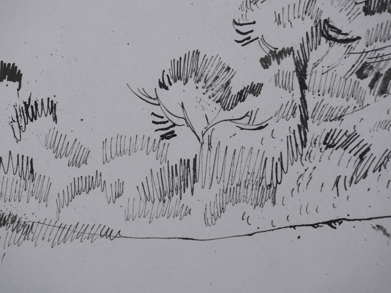 Maurice GENIS : Les arbres au bord de mer, Dessin original signé