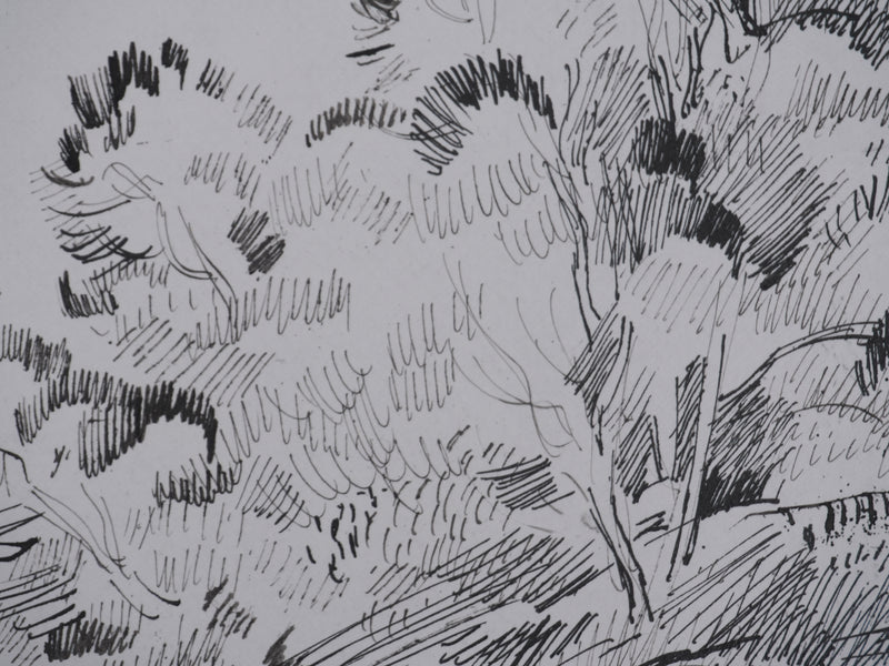 Maurice GENIS : Les arbres au bord de mer, Dessin original signé