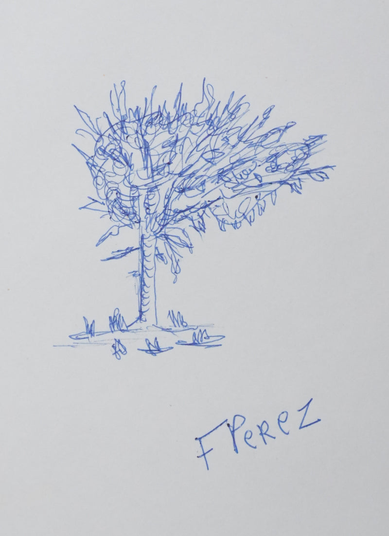 Autographe original de F PEREZ (vue générale) - Crédit photo : Galerie Art.Paris