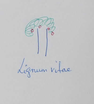 Autographe original de Cardinal DARRIELOU (photo de détail 3) - Crédit photo : Galerie Art.Paris