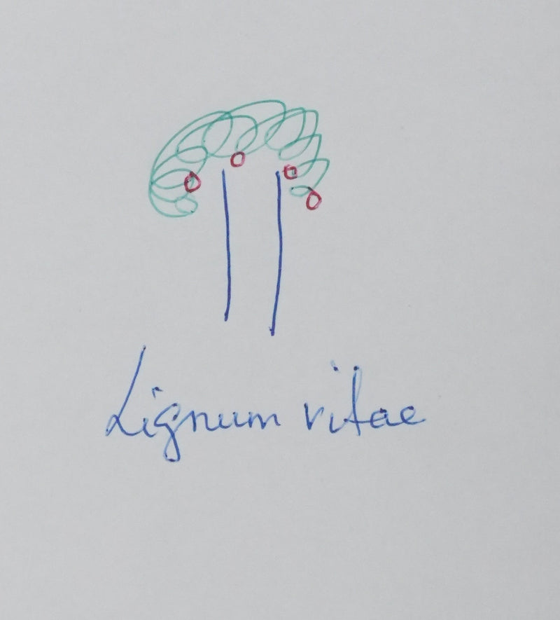 Autographe original de Cardinal DARRIELOU (photo de détail 3) - Crédit photo : Galerie Art.Paris