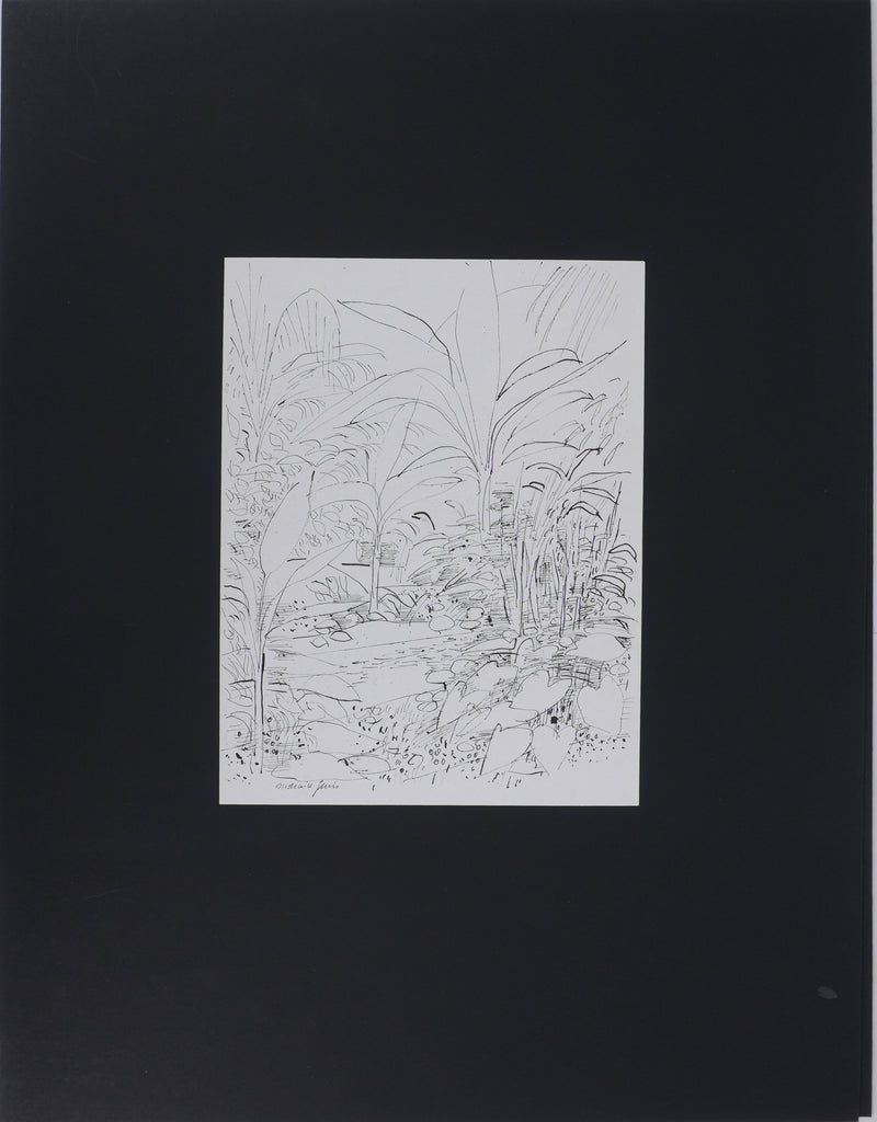 Maurice GENIS : Jardin exotique, Dessin original signé