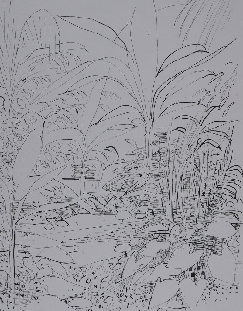 Maurice GENIS : Jardin exotique, Dessin original signé