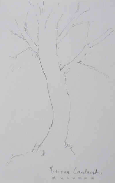 Jean-Dominique VAN CAULAERT : Arbre du jardin, Dessin original signé