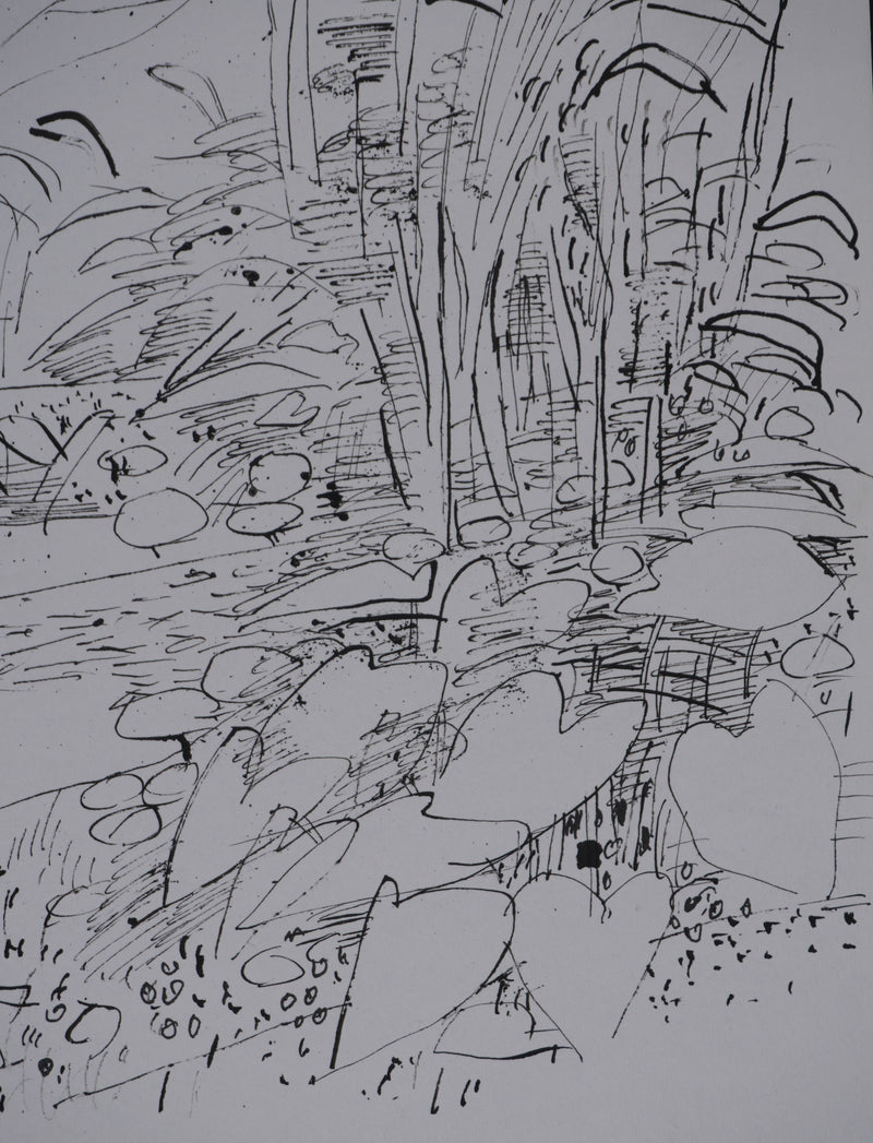 Maurice GENIS : Jardin exotique, Dessin original signé