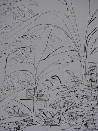 Maurice GENIS : Jardin exotique, Dessin original signé