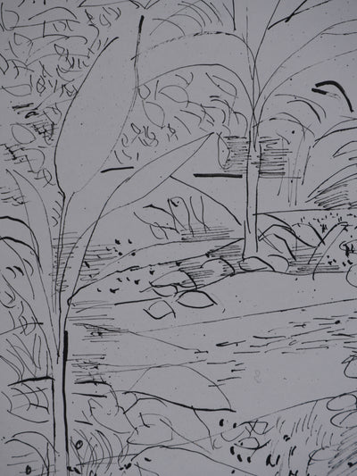 Maurice GENIS : Jardin exotique, Dessin original signé