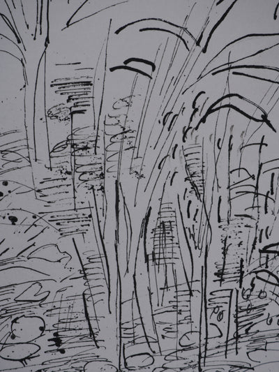 Maurice GENIS : Jardin exotique, Dessin original signé