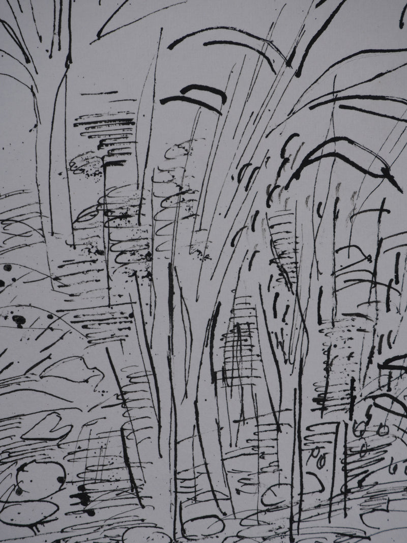 Maurice GENIS : Jardin exotique, Dessin original signé