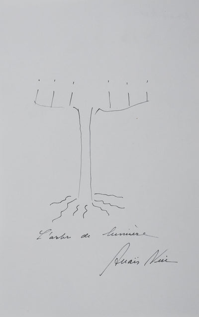 Autographe original de Anaïs NIN (vue générale) - Crédit photo : Galerie Art.Paris