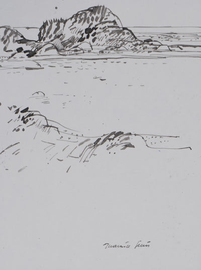 Maurice GENIS : Palmiers sur la plage, Dessin original signé