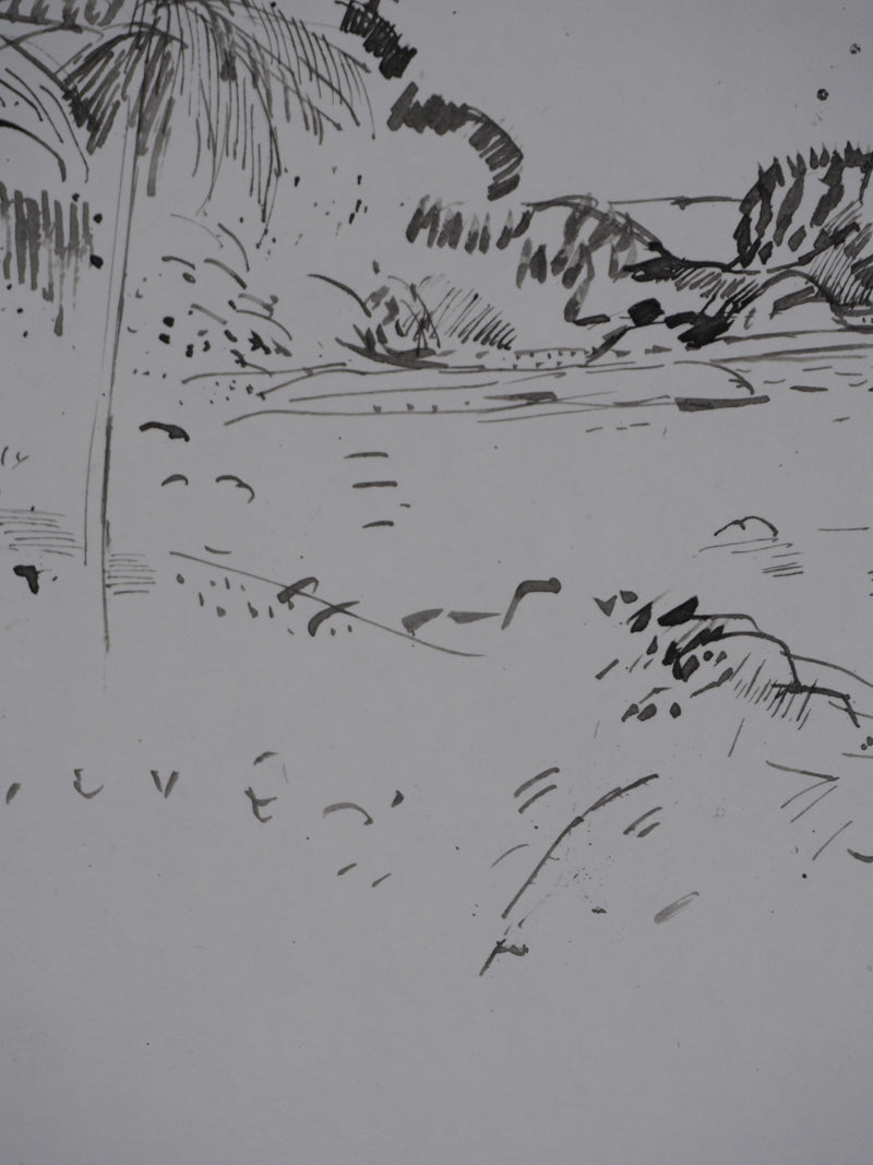 Maurice GENIS : Palmiers sur la plage, Dessin original signé